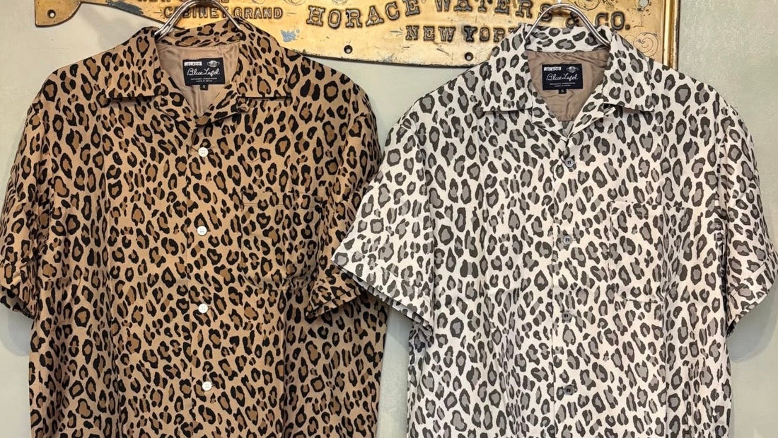 夏場で輝くヒョウ柄シャツ、Hollywood ～Flagship Store～