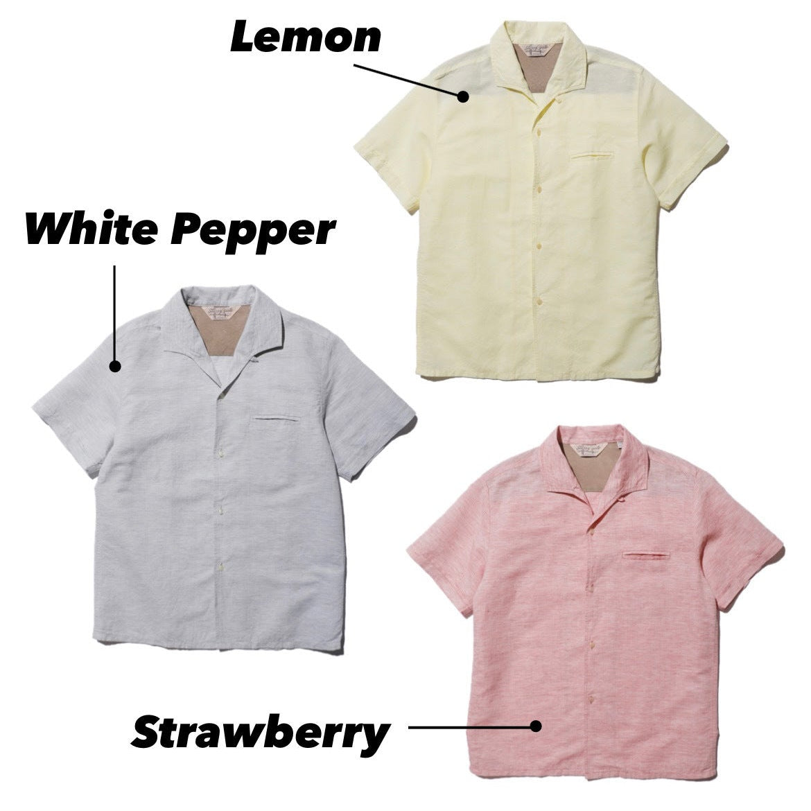 Vincent Shirt 【SG12122】
