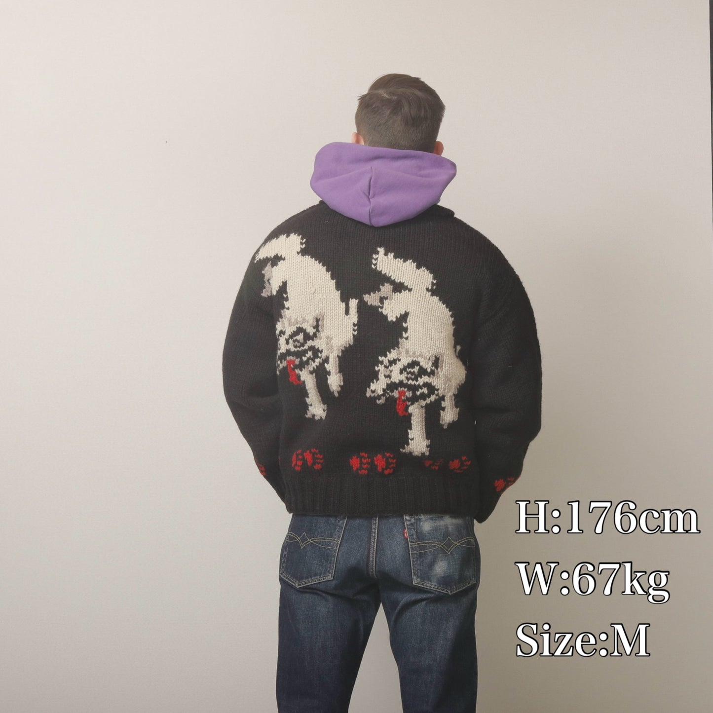 【Coming Soon】Cowichan Style Sweater WOLF【JP23806】