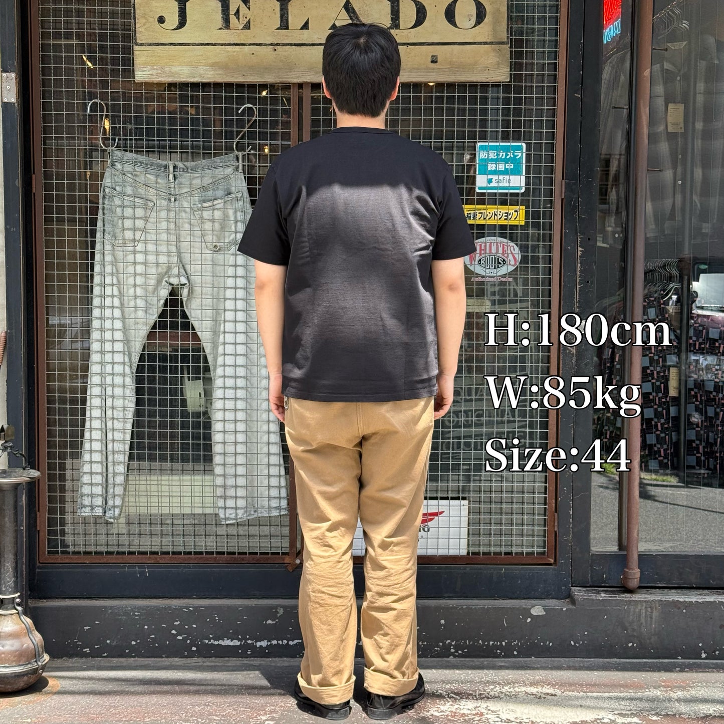 JELADO  Sport Wear Tee【AB94233】