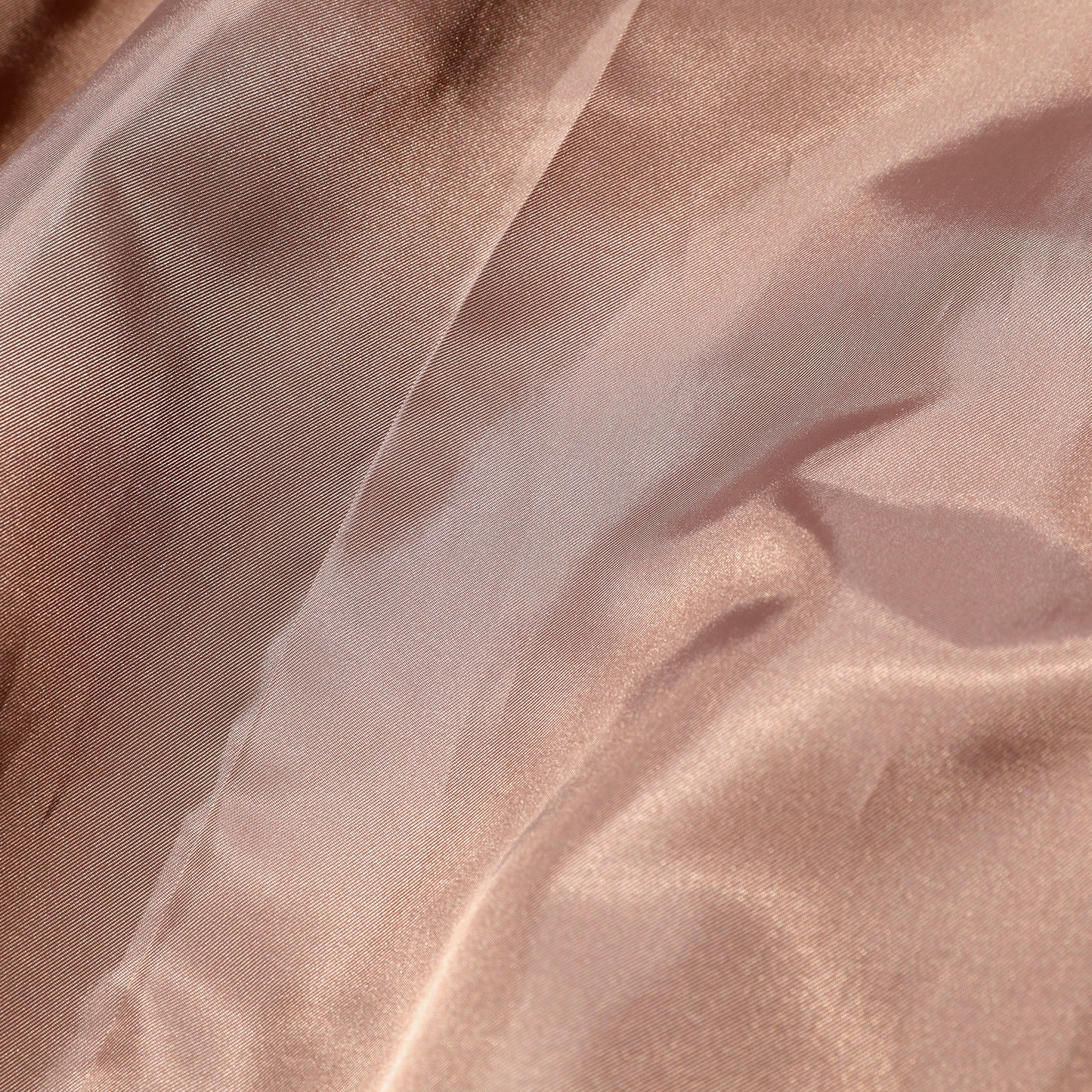 JELADO Eagle Eye  Plain【AB03410A】