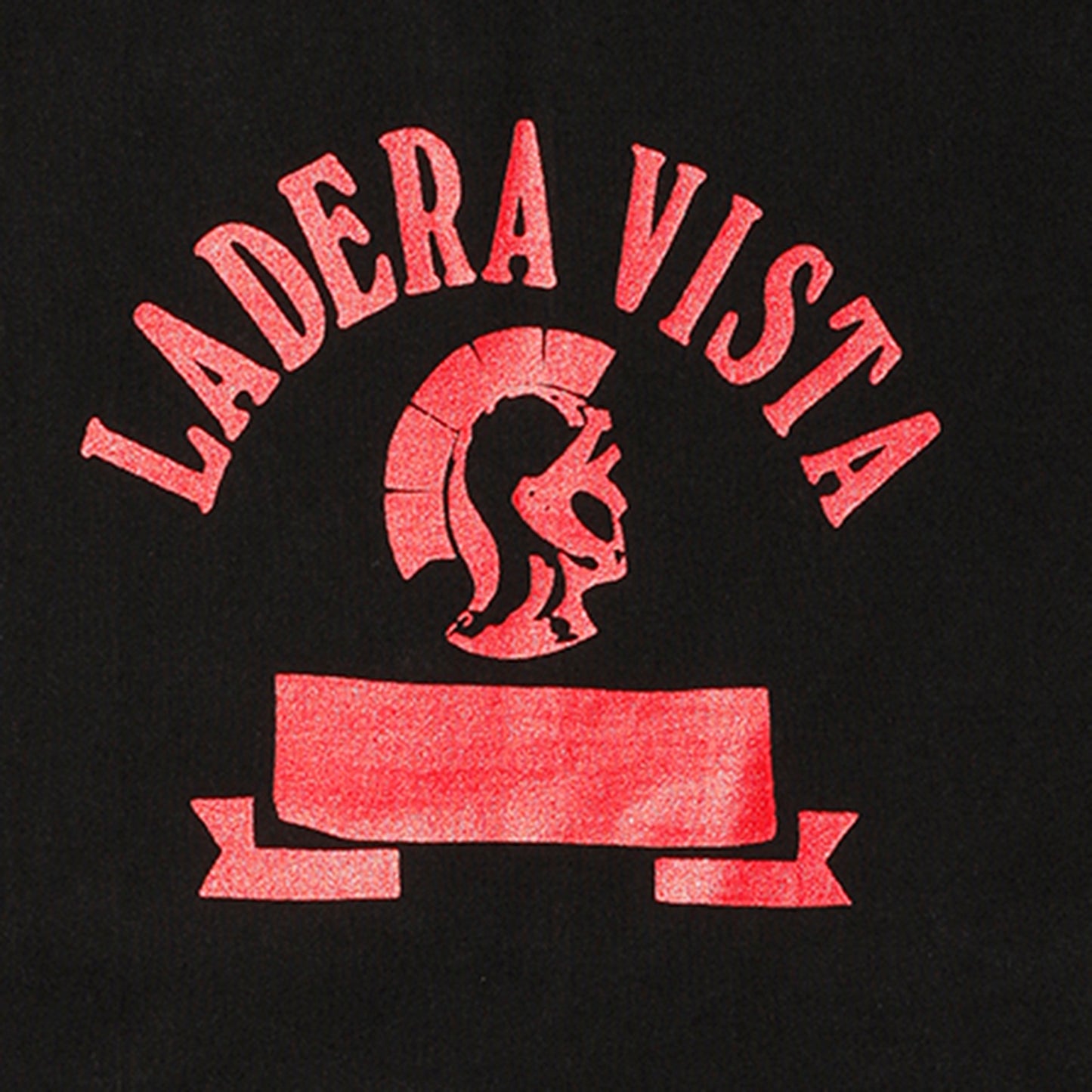 LADENA VISTA Tee【AB21233】