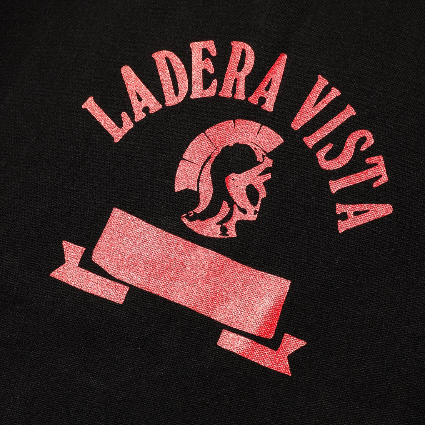 LADENA VISTA Tee【AB21233】