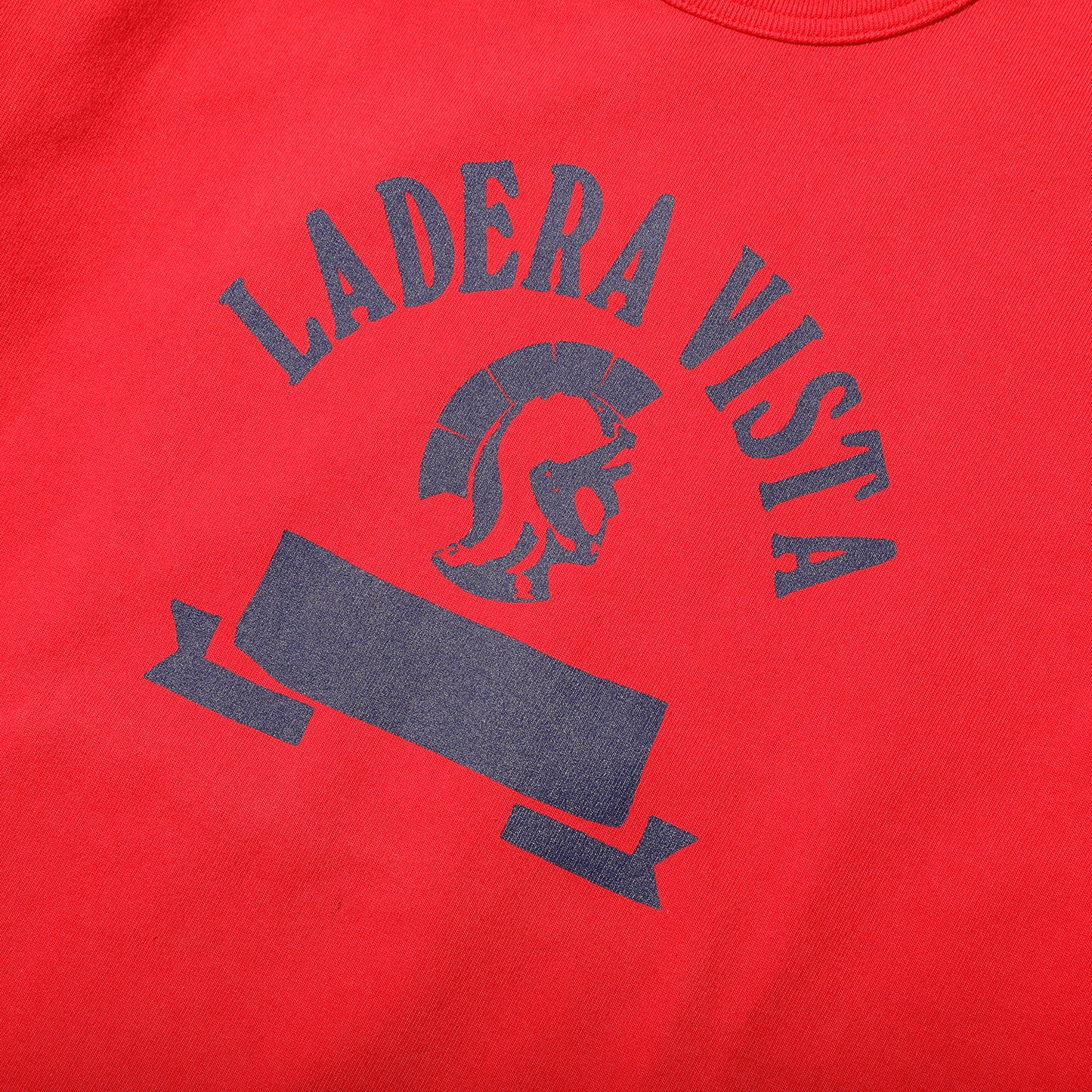 LADENA VISTA Tee【AB21233】