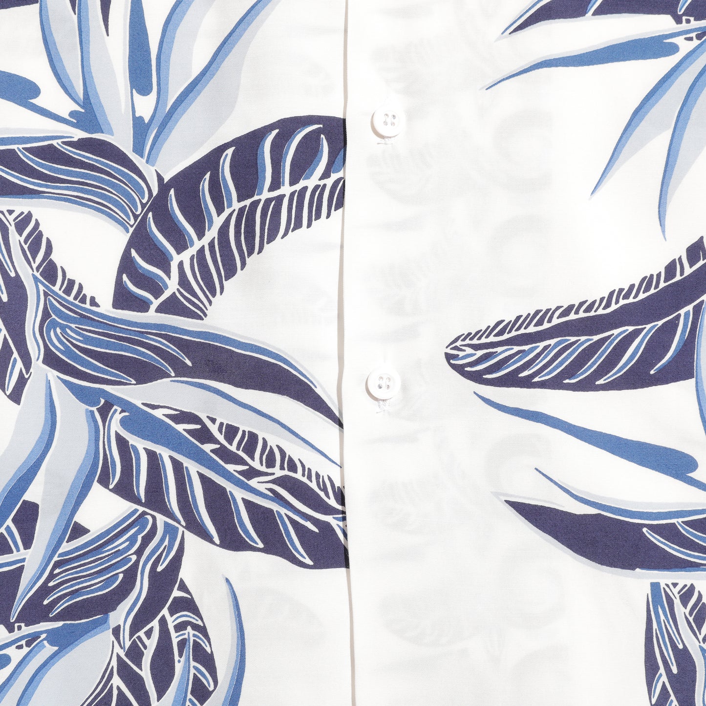Kona Bay Hawaii Bird of Paradise 2026【BK-2026-03】